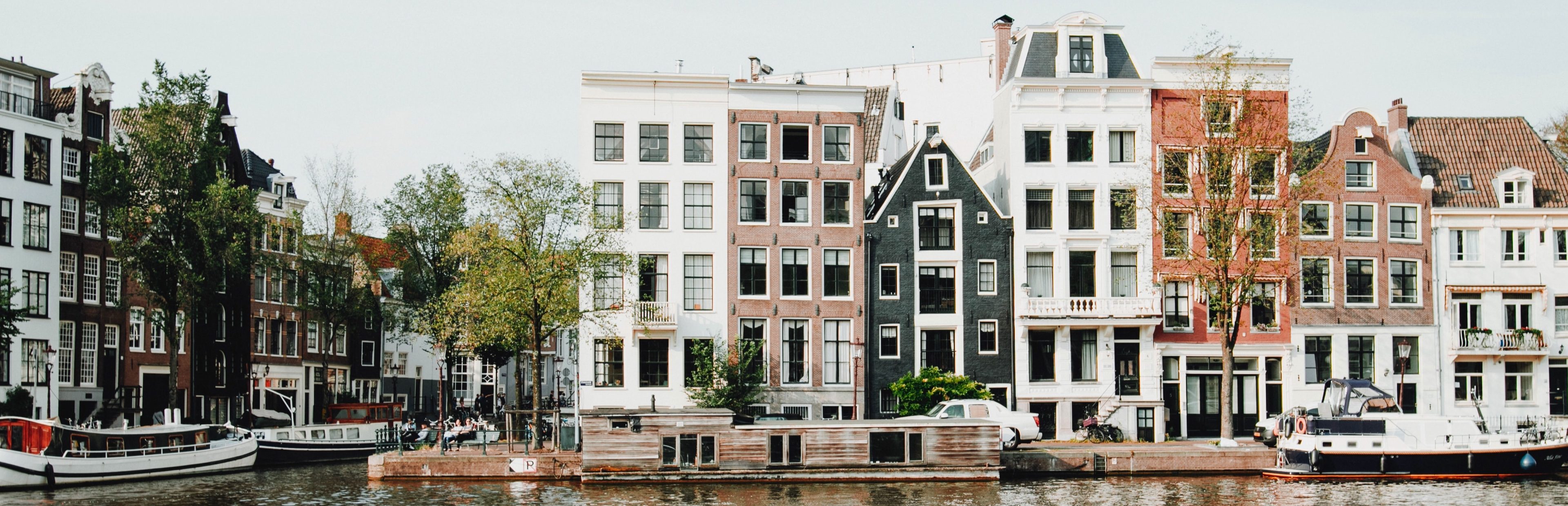 A year in the life of an expat