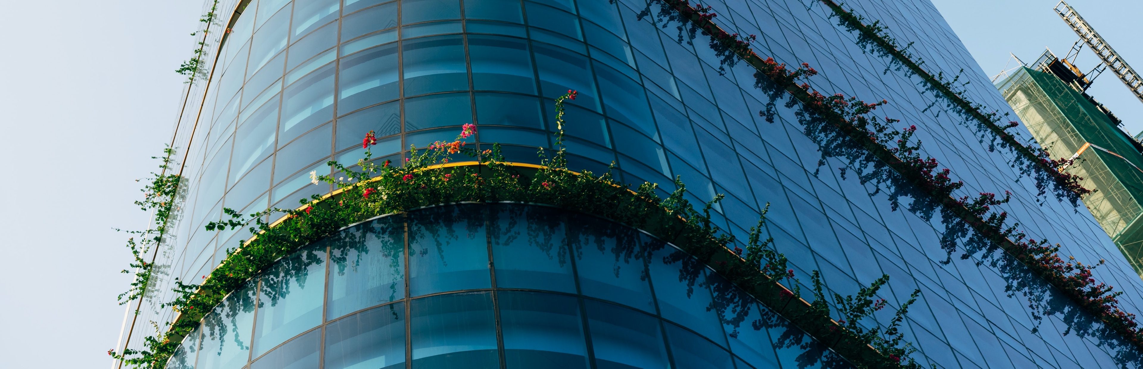 Optimizing Coworking in Asia, an interview with KSConnect partner Andcards