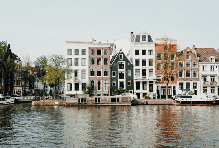 A year in the life of an expat