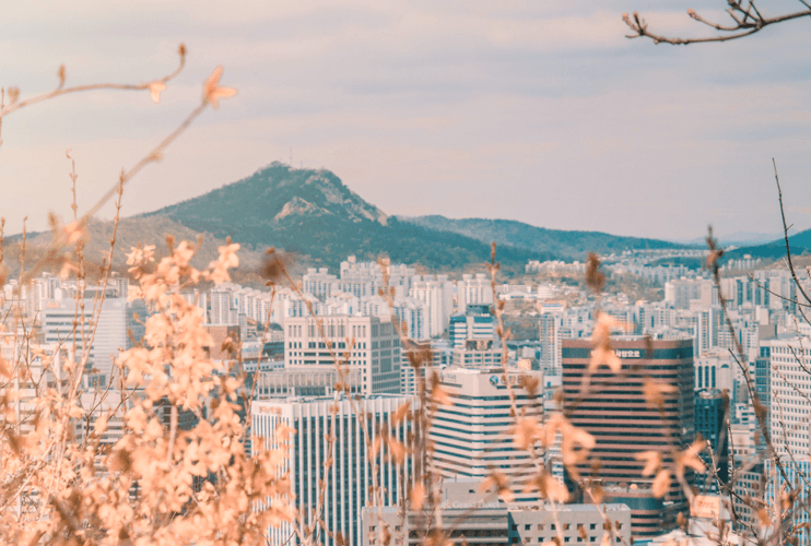 The success of Seoul as a leading smart city