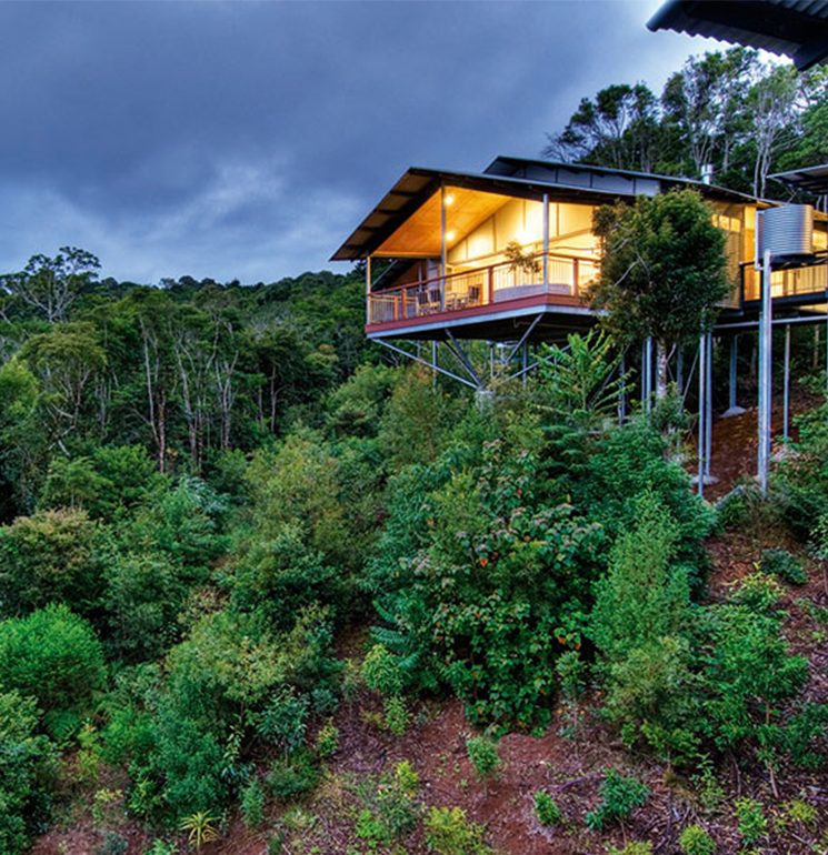 O'Reilly's Rainforest Retreat List Image